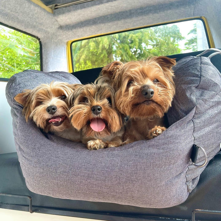 Comfi Pet Travel Bed